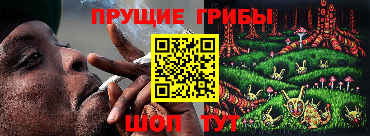 Псилоцибиновые грибы GOLDEN TEACHER Люберцы