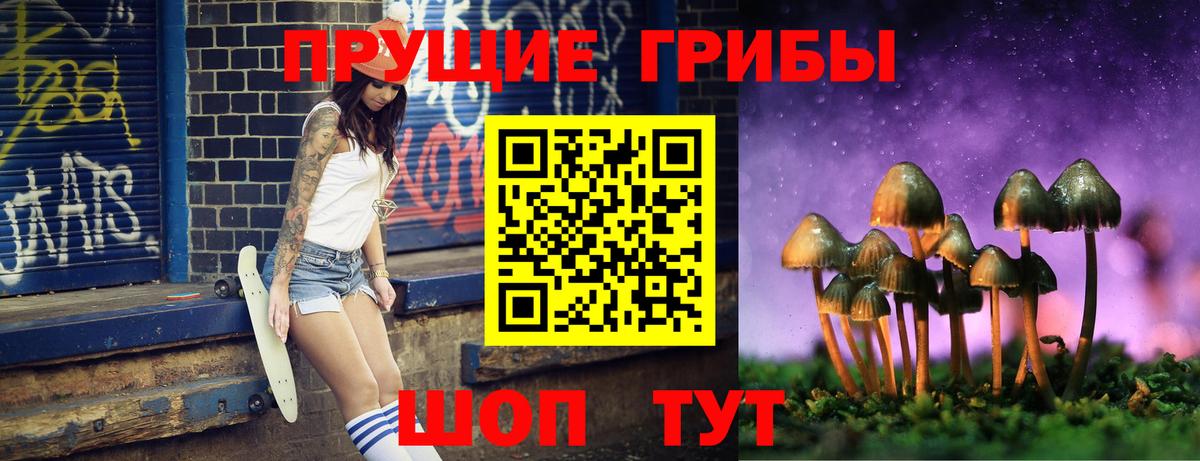Псилоцибиновые грибы GOLDEN TEACHER  наркошоп  Люберцы  Вход с VPN 